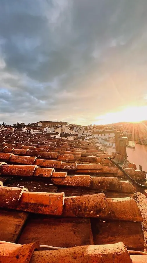 Borgo San Jacopo Penthouse By 360Rentals Florens Italien